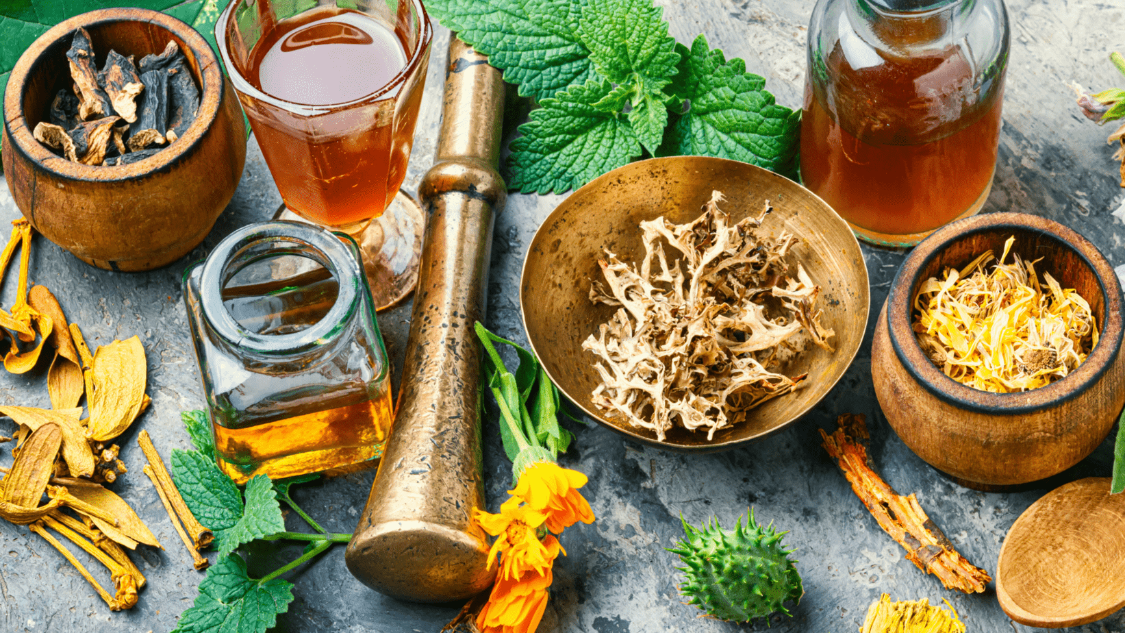 Formation naturopathe