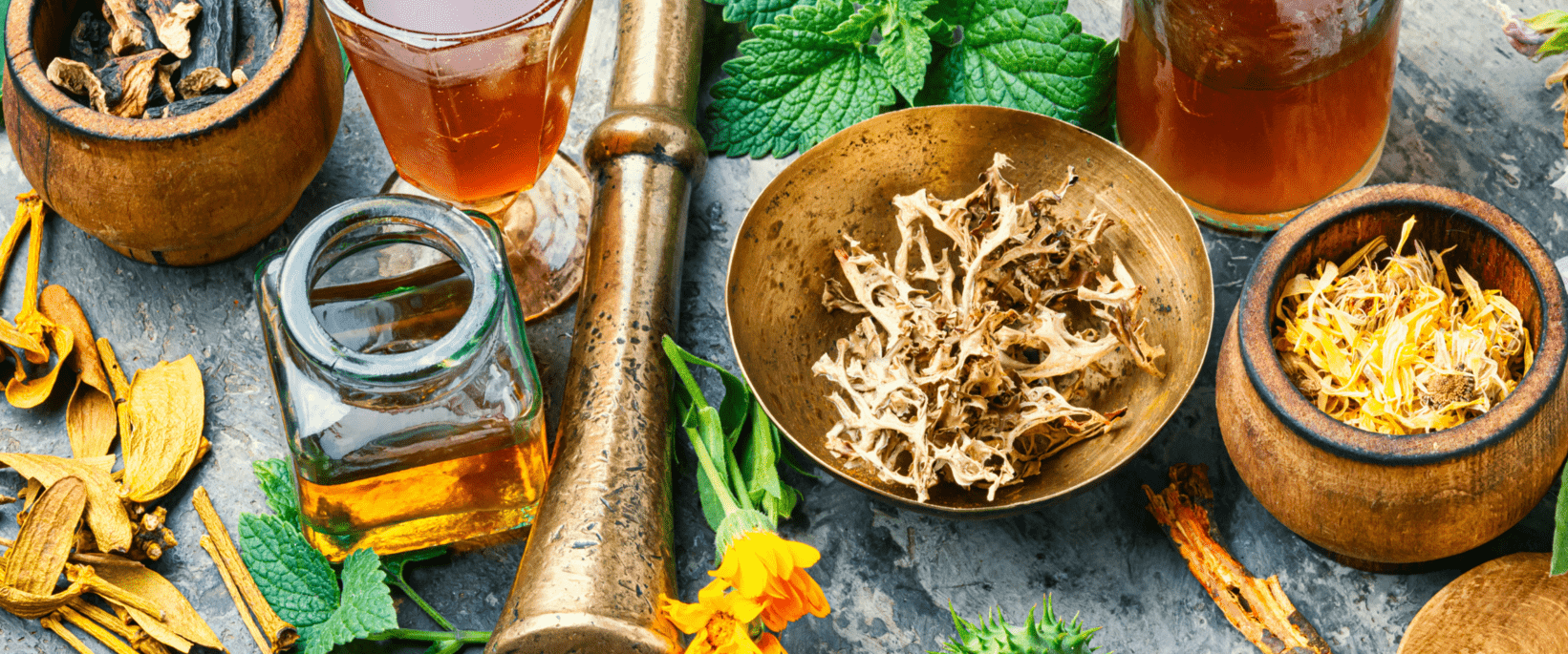 Formation naturopathe