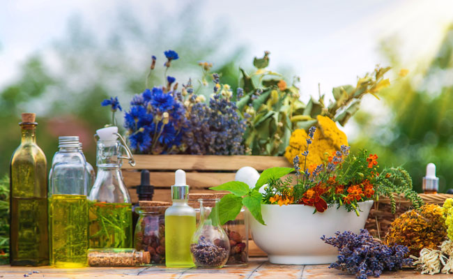 Formation naturopathe