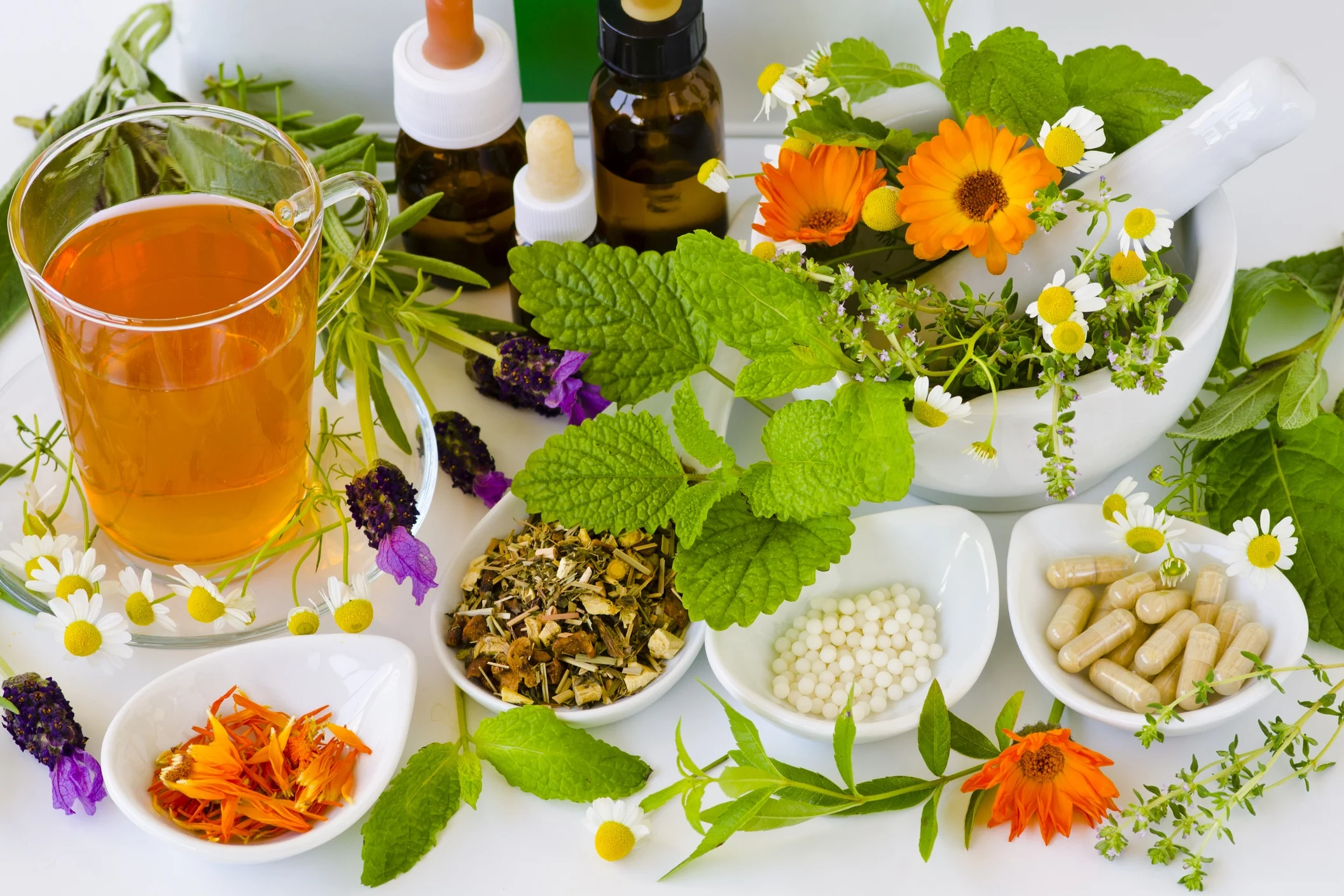 Formation Naturopathe en Ligne 